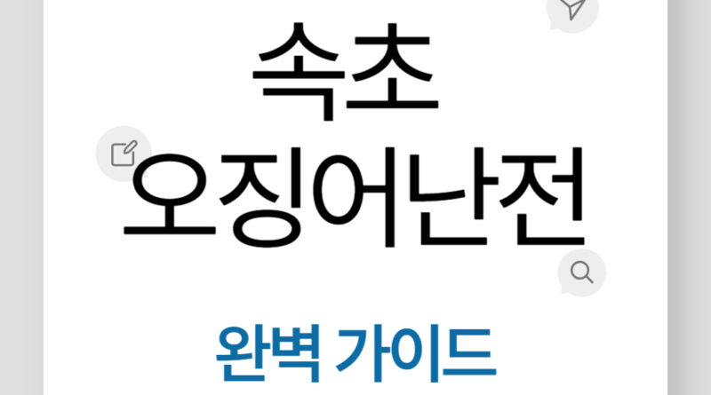 2025 속초 오징어난전 완벽 가이드